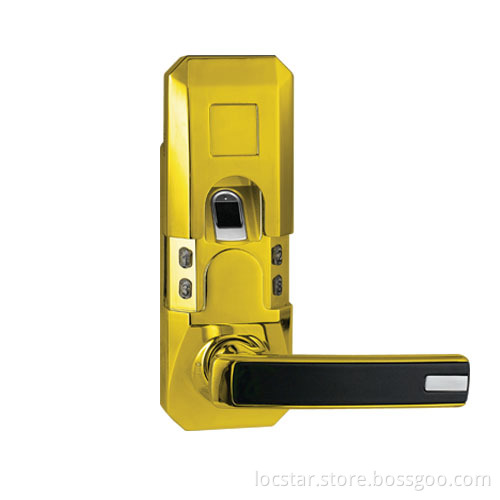 Apartment Door Biometric Lock